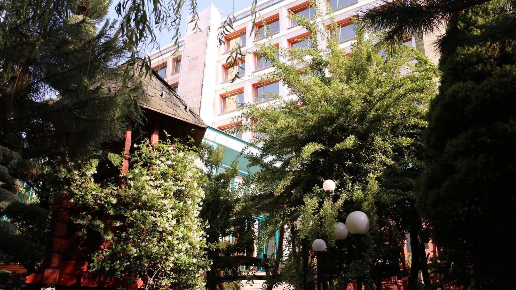 Hotel Carpati Nagybánya Kültér fotó